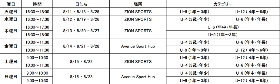 summerschool_2015_nittei